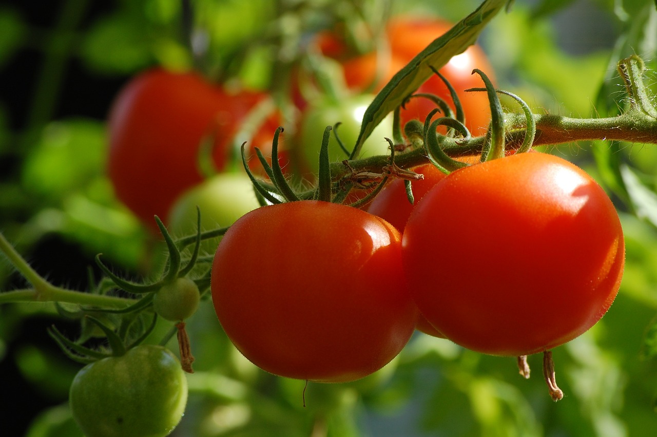 How to Grow Vegetables in Limited Space